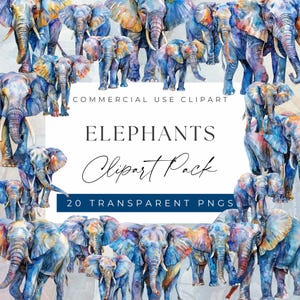 Vibrant Multi-Color Elephant Clipart Bundle - Unique and Colorful Elephant Designs, Clipart for commercial use, Transparent PNGs
