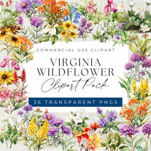 Virginia Wildflowers Clipart Bundle - Beautiful Native Blooms of Virginia clipart, Clipart for commercial use, Transparent PNGs