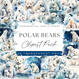 Polar Bear Clipart Bundle - Playful and Majestic Polar Bears in Winter Scenes clipart, Clipart for commercial use, Transparent PNGs