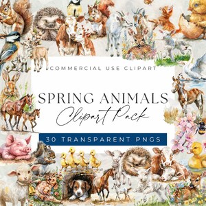 Spring Animals Clipart Bundle - Adorable Baby Animals and Spring Scenes clipart, Clipart for commercial use, Transparent PNGs