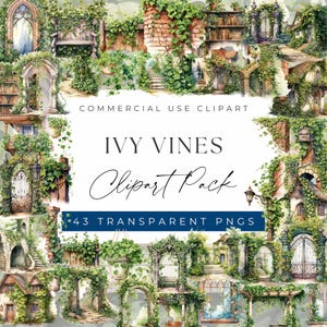 Ivy Vines Clipart Bundle - Elegant and Natural Ivy Designs clipart, Clipart for commercial use, Transparent PNGs