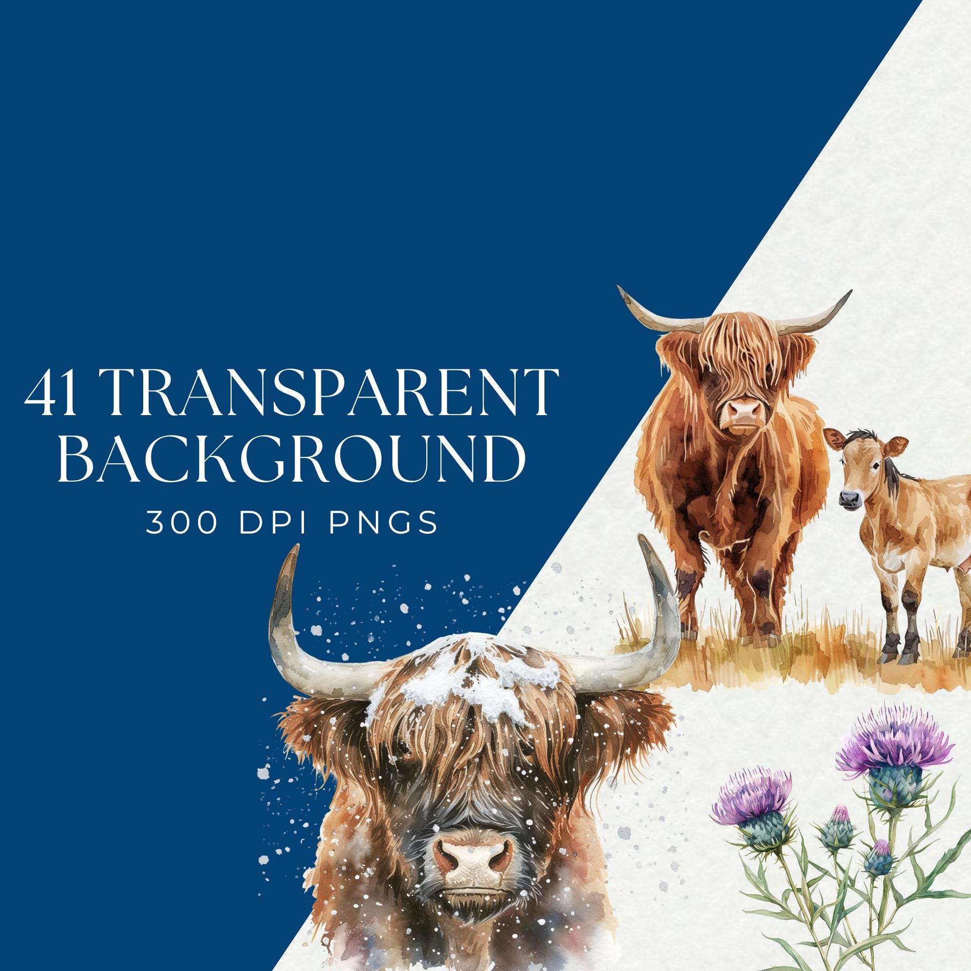 Scottish Highlands Clipart Bundle – Highland Cows, Celtic Symbols (PNG ...