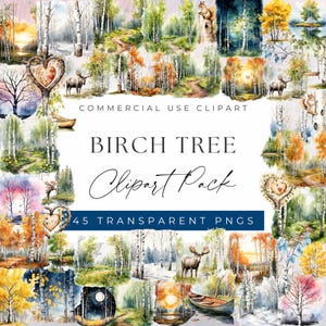 Birch Tree Clipart-bundel - serene en natuurlijke Birch Tree-scènes clipart, clipart voor commercieel gebruik, transparante png-bestanden