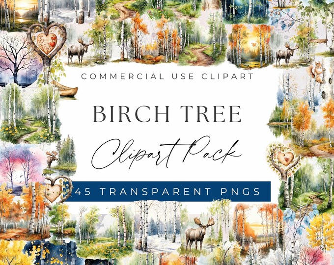 Premium Birch Tree Clipart & Vector Set - Birch Tree Clip Art, Birch ...
