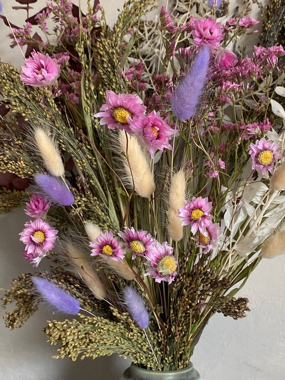 FAICOIA Dried Flowers Bundles Forget Me Not with Stems Natural Dried  Flowers Purple Pink and White Preserved Dried Flowers Bouquet for Floral