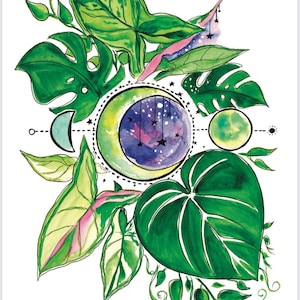 PLANTELISH CALENDAR 2025