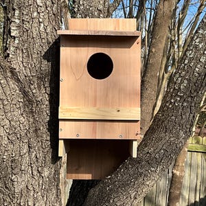 Owl Nesting Box