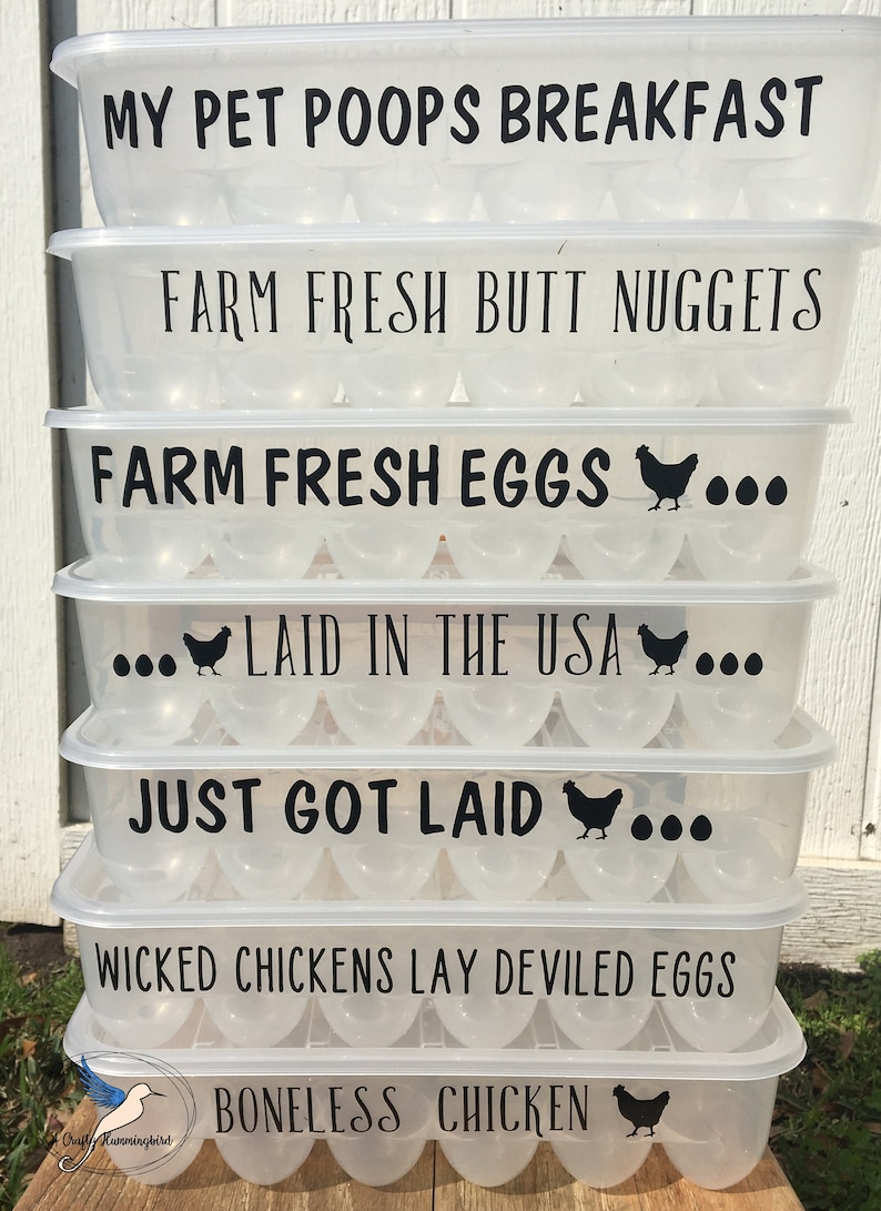 Download Funny egg cartons reusable plastic cartons egg carton | Etsy