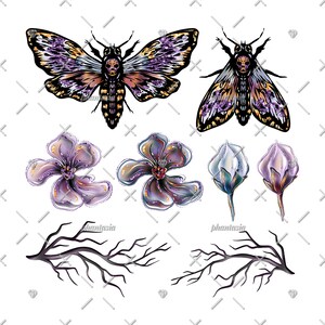 May include: A digital illustration of a purple and gold moth with a skull on its head, two purple and gold flowers, two white and gold buds, and two black branches.