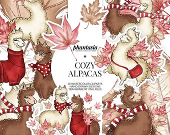 Alpaca Cliparts, Cozy Alpacas, Autumn Watercolor, Autumn Planner, Alpaca Planner, Cute Alpaca, Cute Llama, Llama Planner, Winter Cliparts