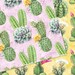 Succulent Digital Paper Cactus Digital Succulent Patterns - Etsy