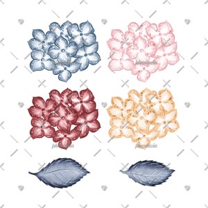 K&ouml;nnte beinhalten: Vier B&uuml;schel Aquarell-Hortensie-Bl&uuml;ten in Blau, Rosa, Rot und Gold, mit zwei silbernen Bl&auml;ttern.
