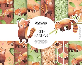 Red Panda Digital Paper, Cute Animals, Cute Red Panda, Fabric Pattern, Kids Pattern, Seamless Digital, Digital Background, Cute Digital