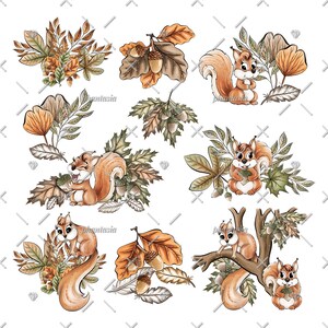 Cute Squirrels Watercolor Cliparts, Fall Cliparts, Cute Watercolor ...