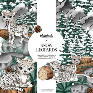 Snow Leopards Cliparts, Cute Animals, Animal Cliparts, Winter Watercolor, Winter Animals, Hand Drawn Clipart, Watercolor Clipart