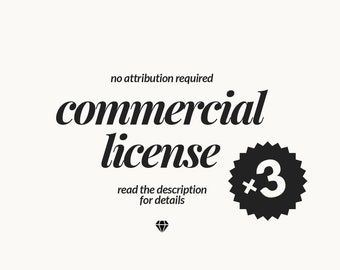 3 Commercial Licenses, Business Use License