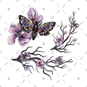 May include: A purple and black butterfly with a skull design on its head is perched on a branch of a flowering tree with purple blossoms. The butterfly is surrounded by a cluster of purple flowers.