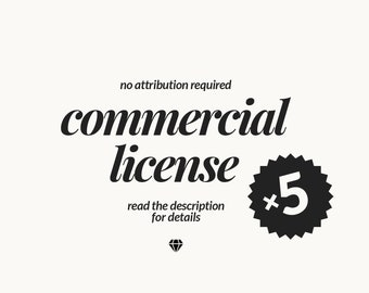 5 Commercial Licenses, Business Use License