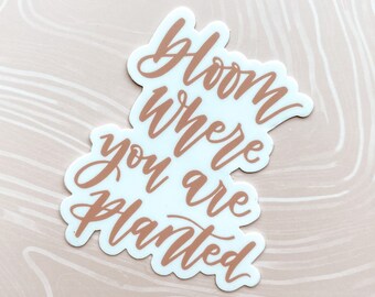 Bloom Where You Are Planted Sticker | Quote Sticker | Laptop Decal | Laptop Sticker