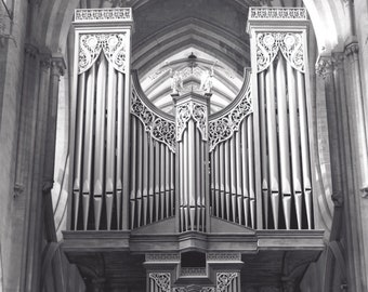 Organ Pipes, Wells Cathedral, England - Black and White photograph, taken with a large format camera, all processing done in a wet darkroom