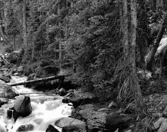 Peru Creek, Keystone CO - black and white, large format camera, processed in a wet darkroom