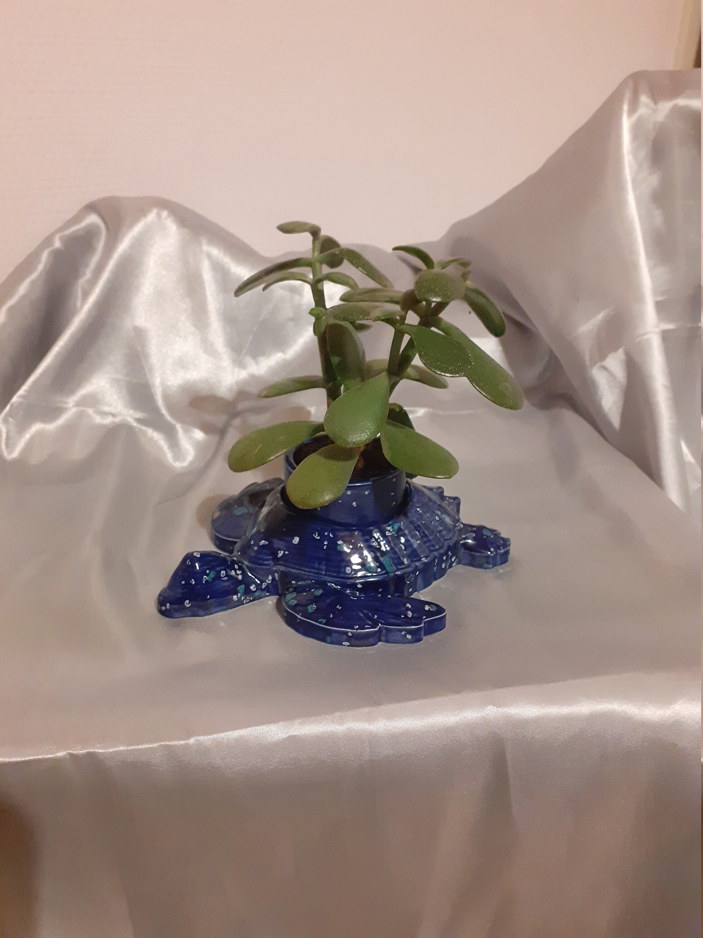 Turtle Flower Pot, Decorative Turtle, Pots, Ceramic Pot Holder, Turtle Gift, Gift For Mom, Decor