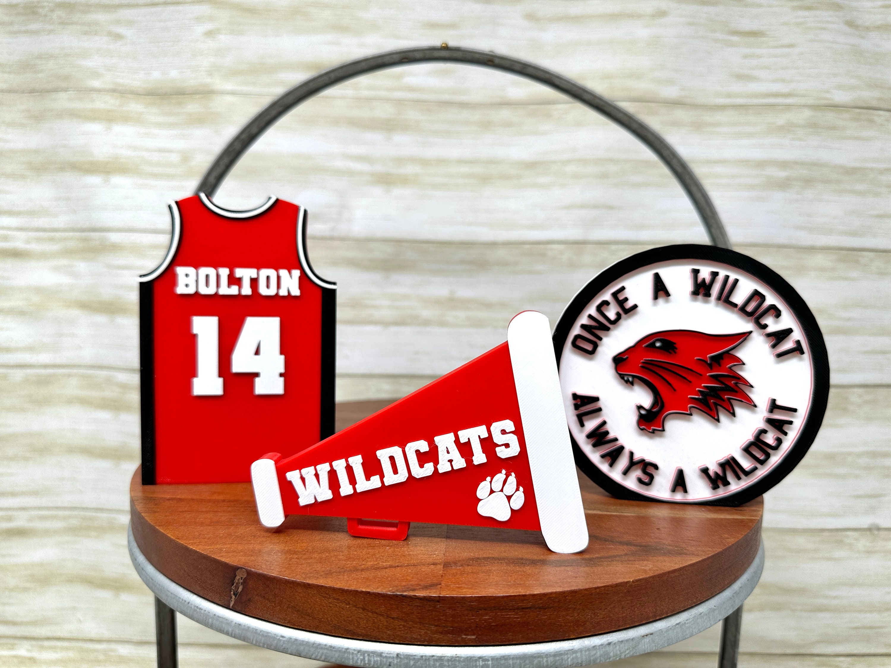 Wildcats Megaphone Trinket: HSM Tiered Tray - Etsy