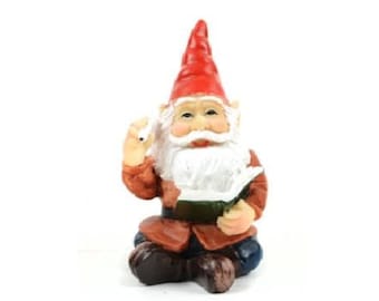 Fairy Garden Gnome with Book
