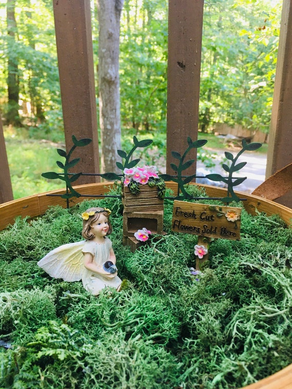 Fairy Gardens for Sale: Enchant Your Space Today