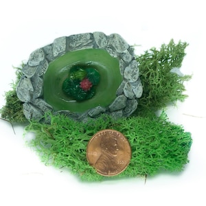 Micro- Mini Pond with Frog, Spring Pond, Fairy Garden Landscaping, Terrarium Pond, Zen Garden Pond