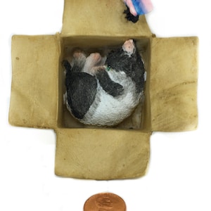 May include: A small, white and black cat figurine curled up inside a cardboard box with a blue and pink butterfly figurine on top of the box.