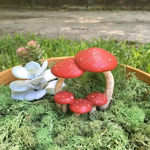 Könnte beinhalten: Eine Miniatur-Feengarten-Szene mit roten und weißen Pilzfiguren in einer Holzschaale gefüllt mit grünem Moos.