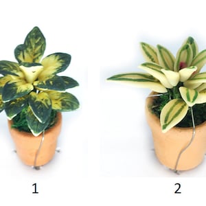 Miniature Artificial Variegated Plant in a Clay Pot, Dollhouse  Plant, Fairy Garden Accessory