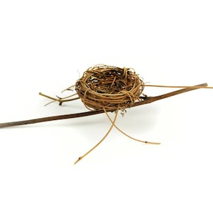 Artificial Twig Birds Nest, Nest on a Branch, Small Bird Nest