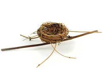 Artificial  Birds Nest on a Twig
