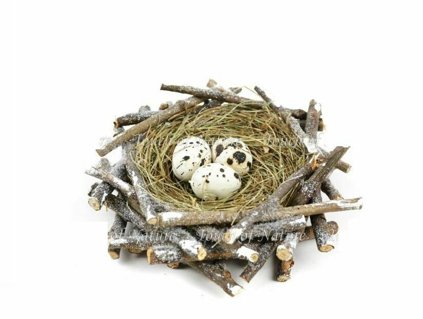 □Ｄ・イェンセン□Birds nest◇Ｂ＆Ｇmodel master◇希少◇ Rare D Jensen Birds Nest B Gmodel Master | eBay
