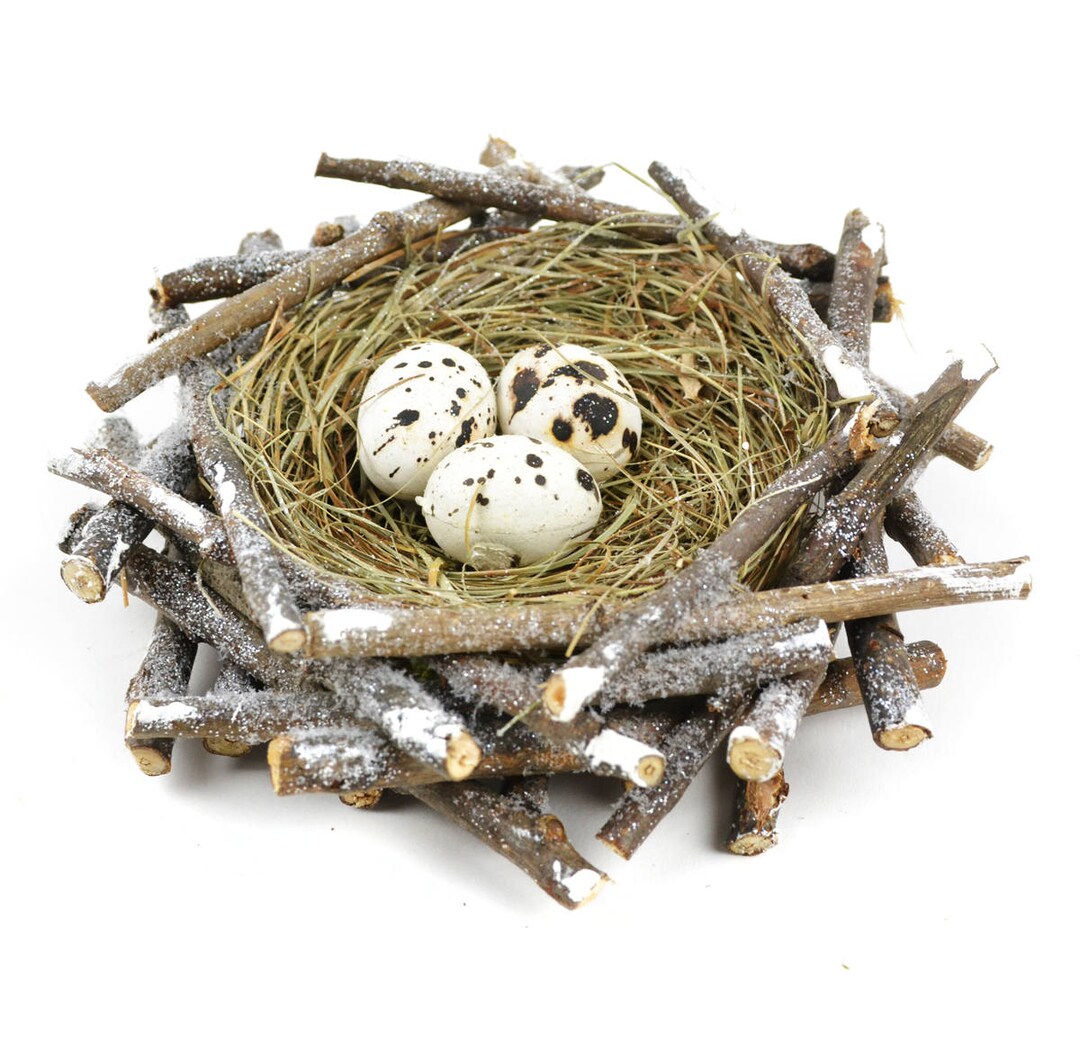 Grass Bird Nest on Twigs, Artificial Nest With Speckled Eggs, 6 Bird