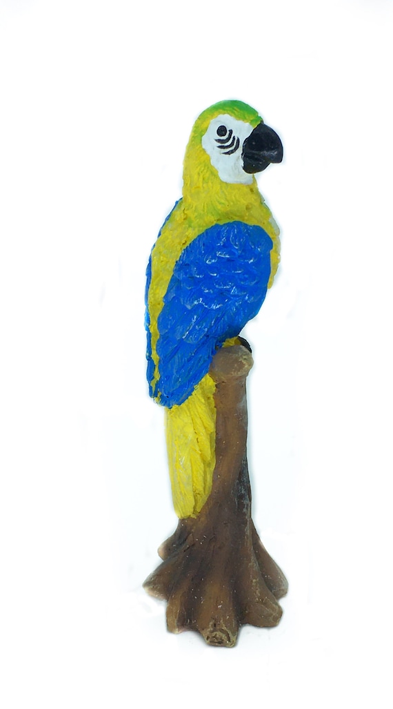  Miniature Parrot Rainforest Bird Exotic Animal - Etsy