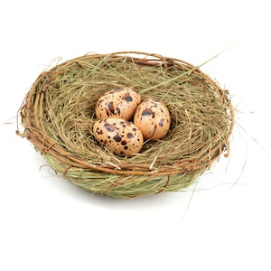 Bird Nest with Eggs, Brown  Artificial  Grass Nest, Speckled Eggs in Nest