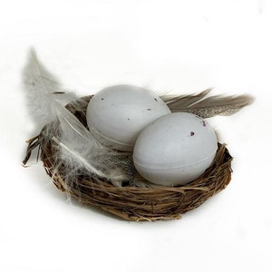 Braunes Vogelnest mit 2 Eiern und Federn, Künstliches Grasnest, Create A Nest Kit