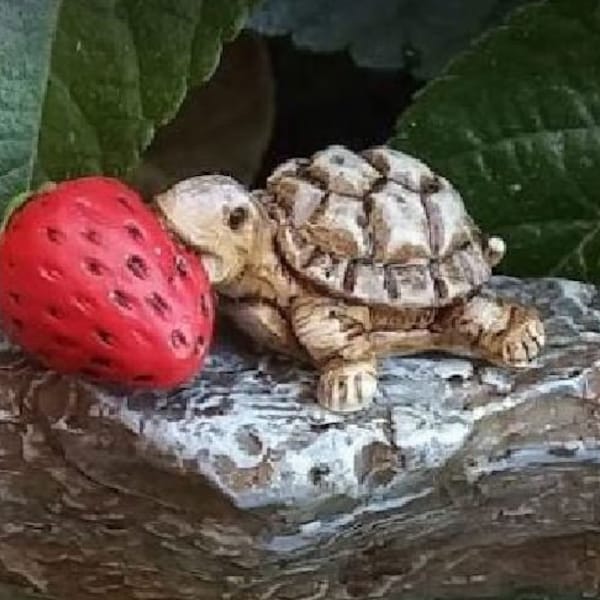 Tortue miniature avec une fraise, Tommy la tortue, Terrarium Micro Mini Turtle