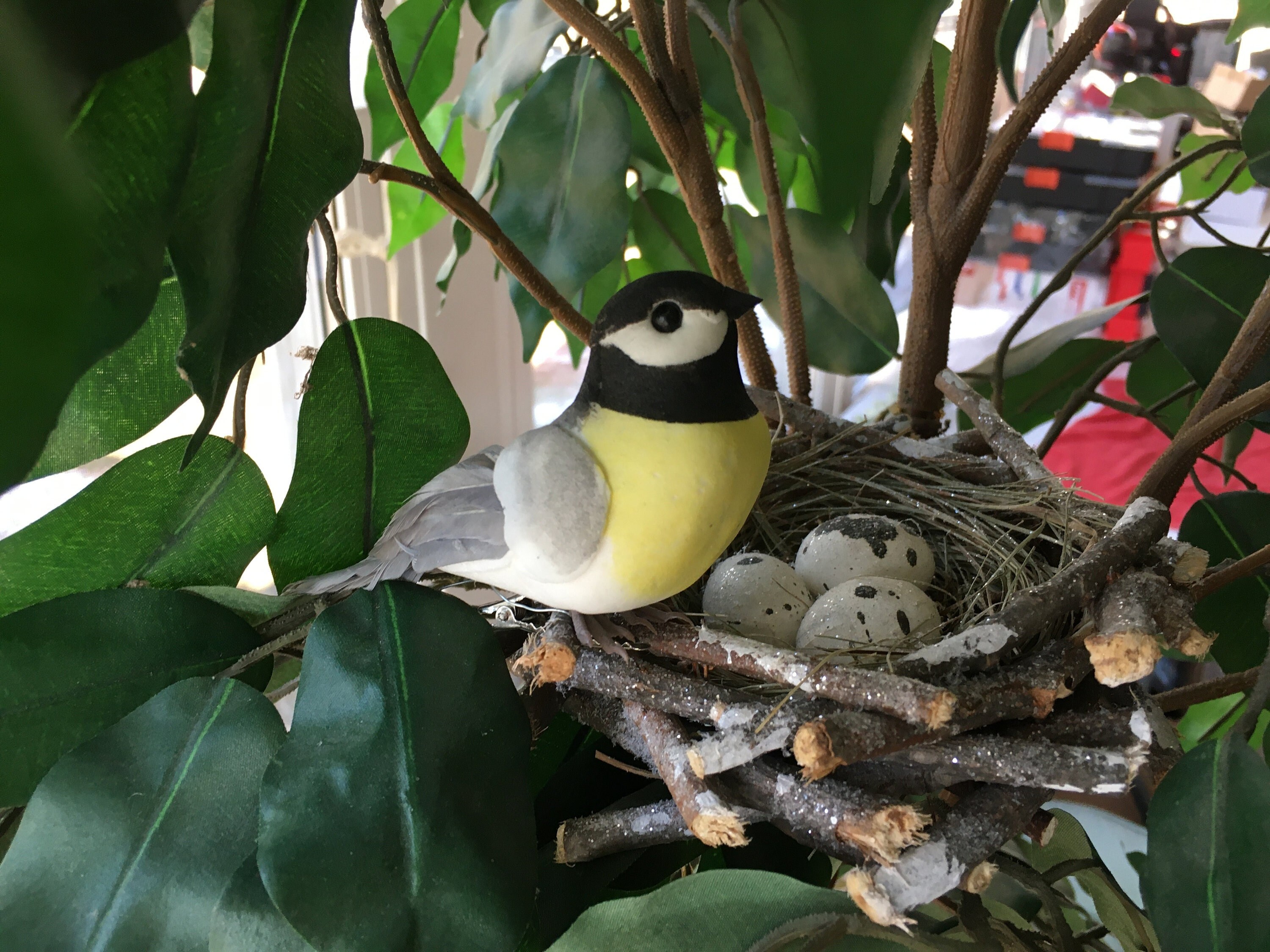 Yellow and Gray Bird With Nest and Spotted Eggs, Stick Nest With a