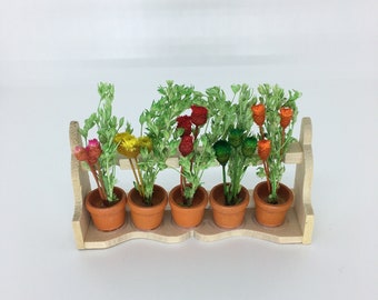 Könnte beinhalten: Ein Holzregal mit sechs Topfpflanzen. Die Pflanzen haben grüne Blätter und bunte Blüten in Rot-, Orange-, Gelb- und Grüntönen.