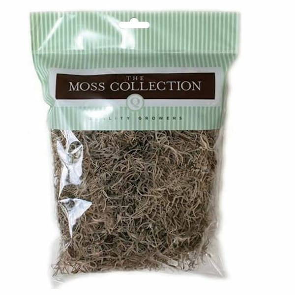 Light Brown Spanish Moss, Natural Moss for Fairy Gardens, Crafts and  Floral Decor