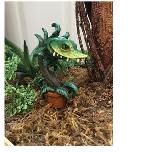 May include: A green and yellow carnivorous plant with a toothy mouth, in a brown pot, surrounded by brown moss and green foliage.