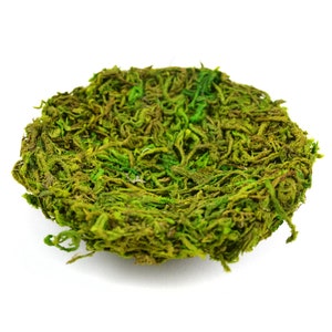 Grünes Moosnest, Grünes Nest, Nest für Feen, Pixie, Wichtel, Vögel, Eier