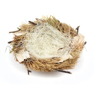 Vogelnest, Zwei toniertes Nest für Vögel, Feen, Pixies, Eier, Künstliches Waldnest