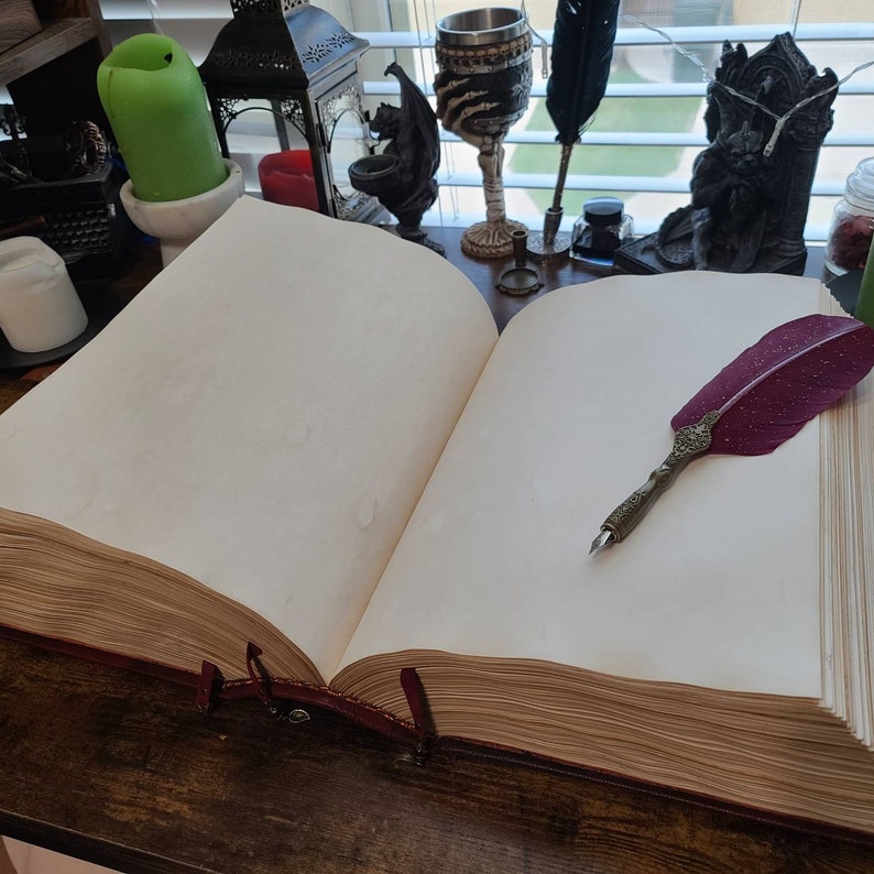 K&ouml;nnte beinhalten: Ein gro&szlig;es, offenes, ledergebundenes Buch mit leeren Seiten und einer Federkiel mit einer burgunderfarbenen Feder, die auf der rechten Seite liegt.