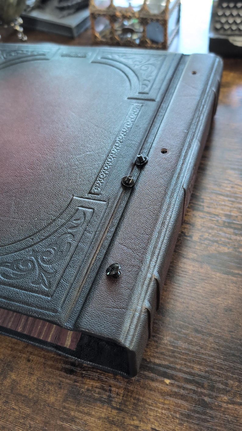 May include: A close-up of a leather-bound journal with decorative embossed detailing. The cover is a dark brown with a reddish hue, and the spine features metal rivets. The edges of the pages are visible.