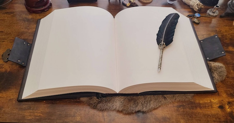 May include: A large, blank, leather-bound journal with a black feather quill pen resting on the open pages. The journal is lying on a brown wooden surface.